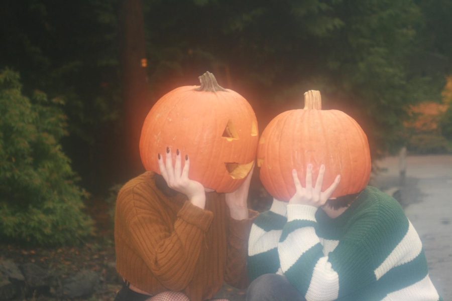 Two+spooky+pumpkins+plot+Halloween+hijinks.