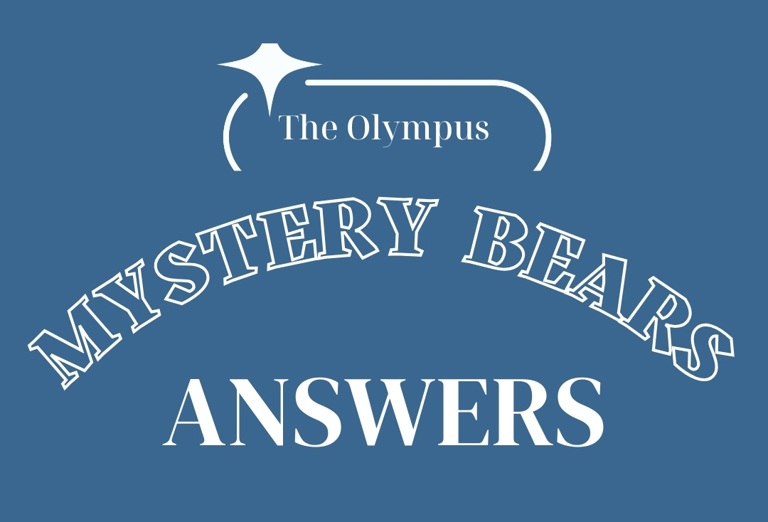 Mystery Bears answers