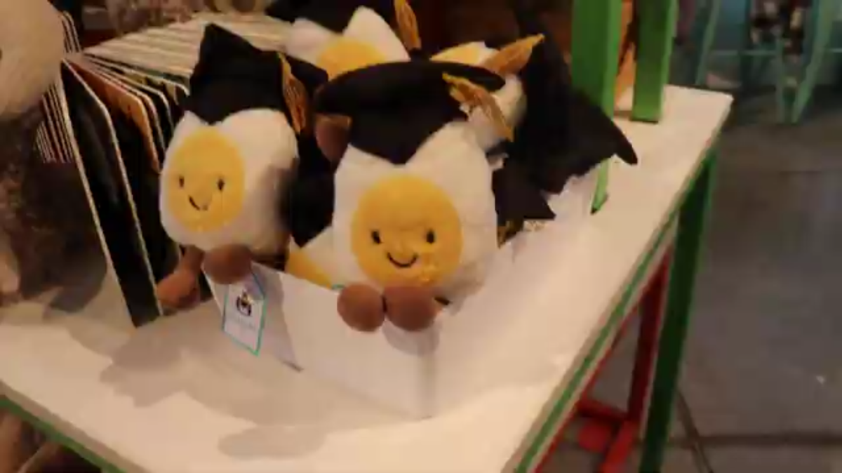 In Captain Little, the selection of Jelly Cats has many options.