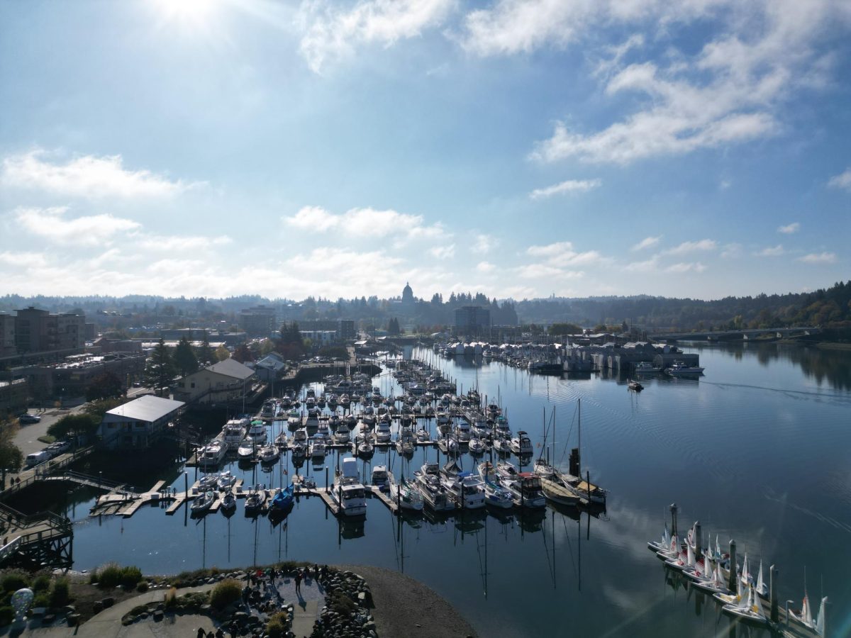 Though Olympia Yacht Club is primarily a marina for boaters, it’s a home for many and a prime location for beautiful water views, even before sunset– the calm water filled with harbor seals and the occasional dolphin all the while reflecting the sky view is enchanting enough.