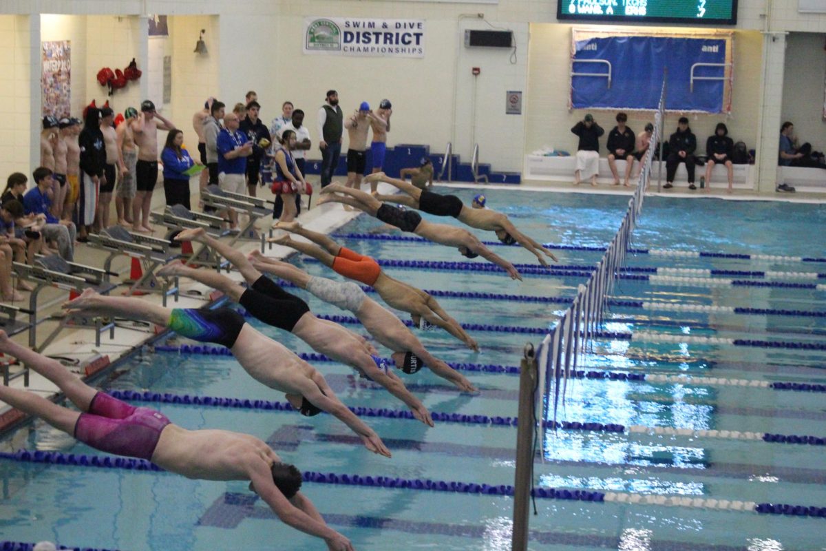 Steve Su (orange shorts) dives into the pool to start the 100 Free at the WCD III 4A Championships.