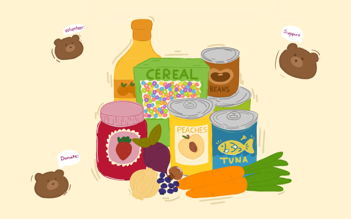 Support local food banks around Olympia by volunteering or by donating canned foods, fresh vegetables and fruits, bottled drinks and jarred jams or spreads.