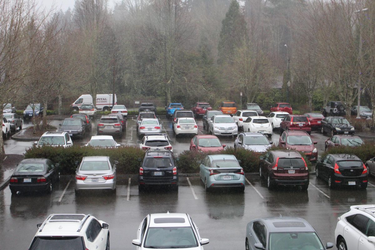 Parking lot craze: Parking by convenience or law?