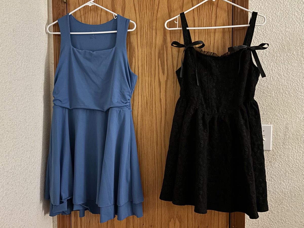 Although the black dress is prettier, it is also more expensive, so going with the blue dress which is also beautiful, would be the better option financially.