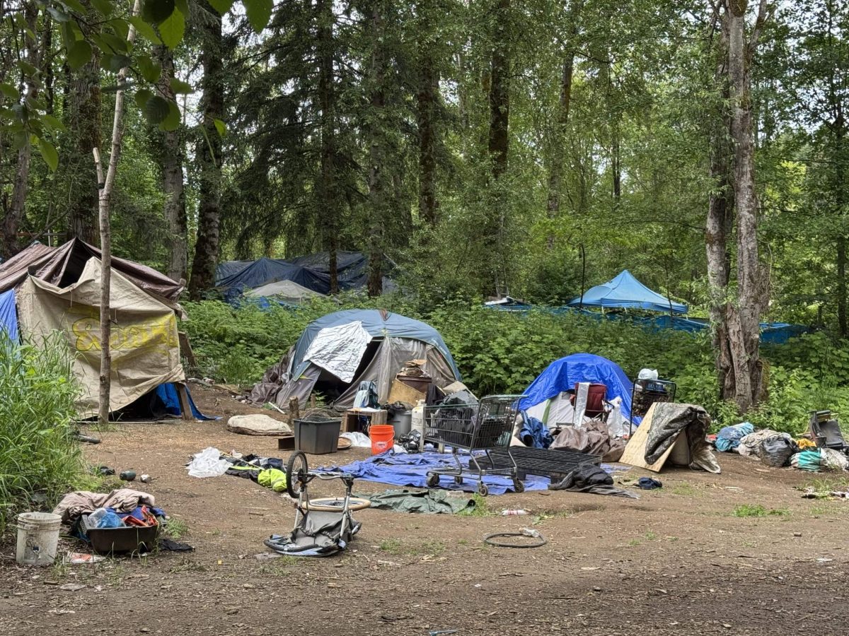 Structures inside the Jungle encampment in Olympia, one of the city’s largest and longest-standing homeless communities, highlighting how difficult a full solution to homelessness would be.
