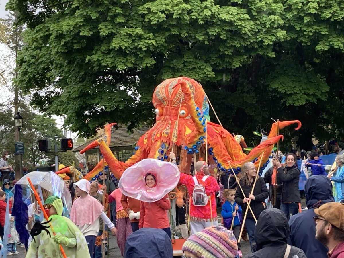 Participants and floats move through downtown Olympia during the annual Procession of the Species parade, a community celebration.