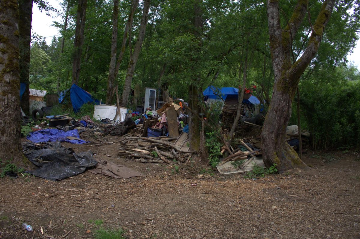 Much controversy is being shaped around the Jungle, a homeless camp in Olympia, which reveals a larger story of systemic problems and community impact.
